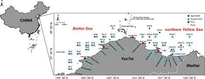 Community structure and ecological quality assessment of macrobenthos in the coastal sea areas of Northern Yantai, China